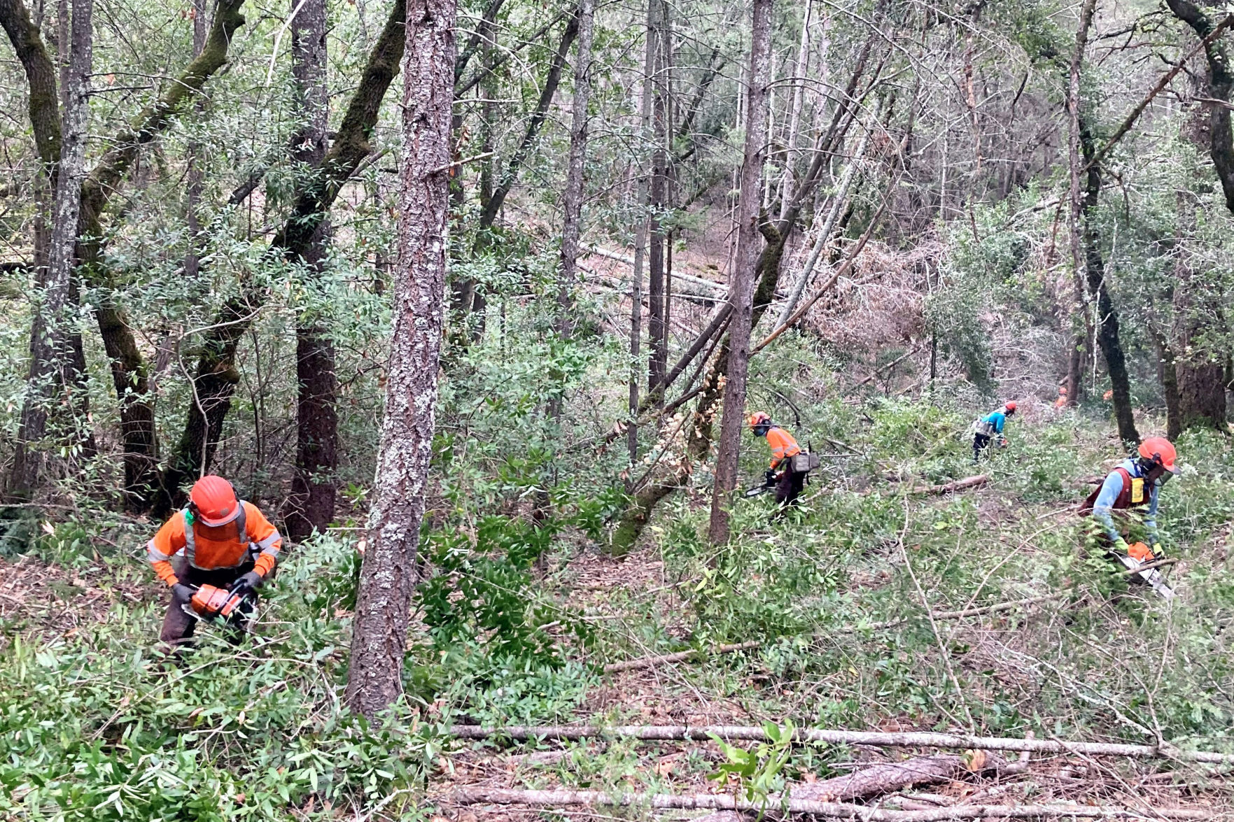 Land Trust of Napa County Linda Falls